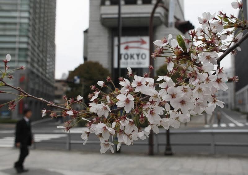 FILE PHOTO - Cherry blossoms are seen in front of the Tokyo Stock Exchange building in Tokyo April 11, 2012. REUTERS/Toru Hanai