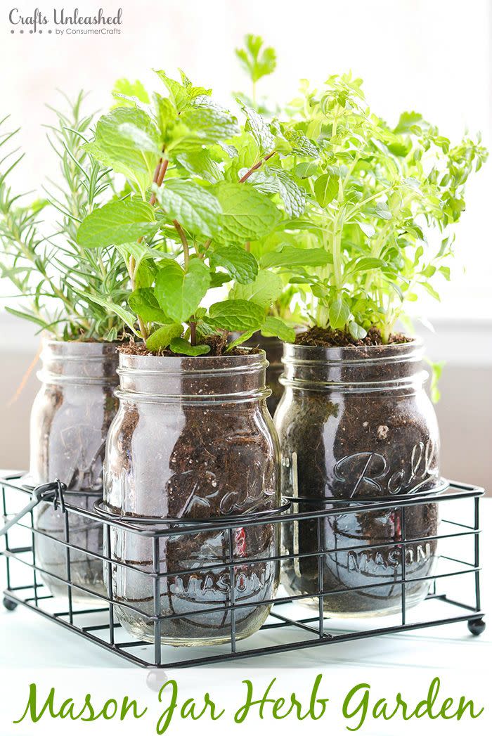 Indoor Herb Garden