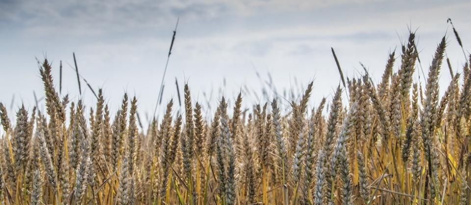 La hausse des prix des matières agricoles a de lourdes conséquences.
