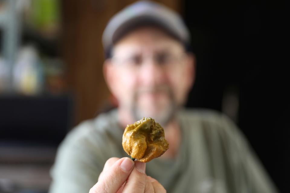 Ed Currie holds up one of his Pepper X peppers on Tuesday, Oct. 10, 2023, in Fort Mill, S.C. The pepper is now the hottest pepper variety in the world according to the Guinness Book of World Records.