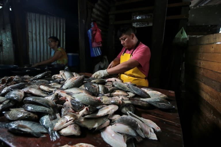 A man sells fish in a market in the Nicaraguan capital Managua (OSWALDO RIVAS)