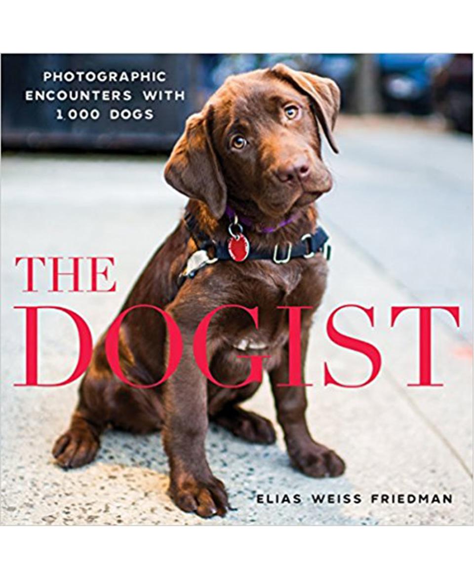The Dogist , by Elias Weiss Friedman