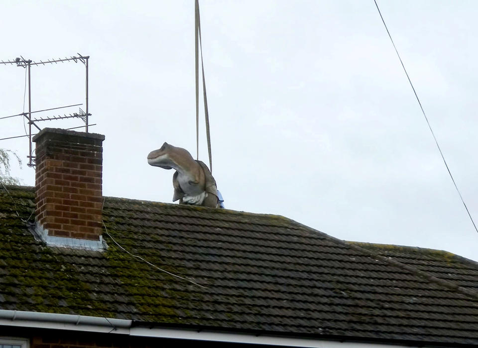 A wacky husband shocked his wife who wanted to brighten up their garden with a gnome - by installing a 12ft-tall replica of a T-REX on the patio. Adrian Shaw, 52, snapped up the 14-stone resin and fiberglass dinosaur and hired a crane to winch it into position on Thursday (3/9). He came up with the madcap-scheme after wife Deborah, 53, begged him to clean up the back garden of their home in Leamington Spa, Warks. The IT analyst paid £1,600 for the replica of the terrifying beast, which he named ‘Dave’ and put it on the patio.