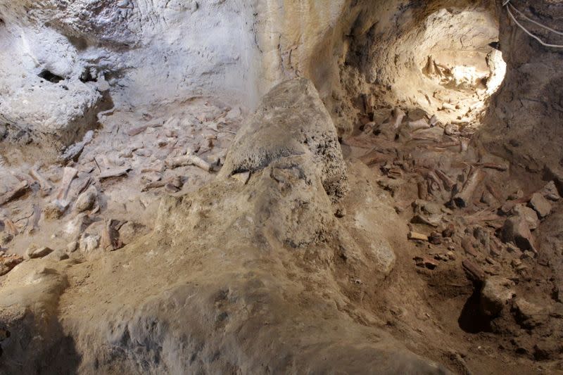 Fossilised remains, supposed to belong to Neanderthal men, are seen at a prehistoric site in Guattari cave in San Felice Circeo