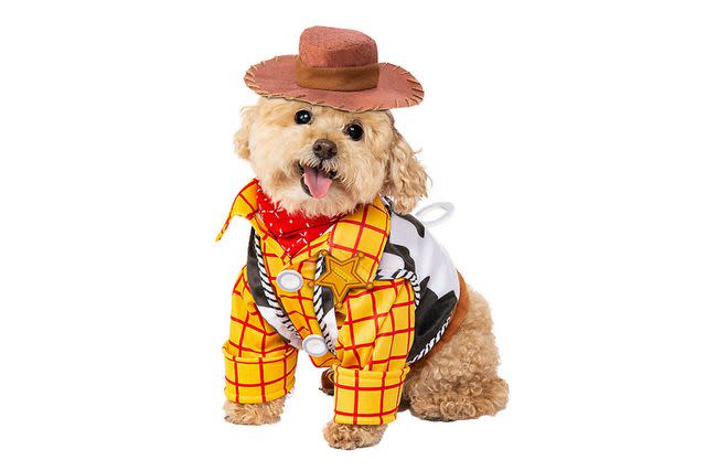 Rubie's Hocus Pocus Sarah Pet Costume