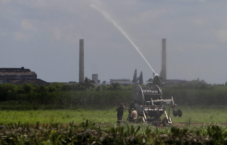 In this Sept. 8, 2012 photo, workers irrigate a sugar cane field in Jaronu, Cuba. Just two years ago, Cuba's sugar industry was on its knees after the worst harvest in more than a century. Now Cuba's signature industry is showing signs of life. Hulking processing plants are coming back online, and the harvest is growing by double digits each year, a boon to rural towns like Jaronu. (AP Photo/Franklin Reyes)