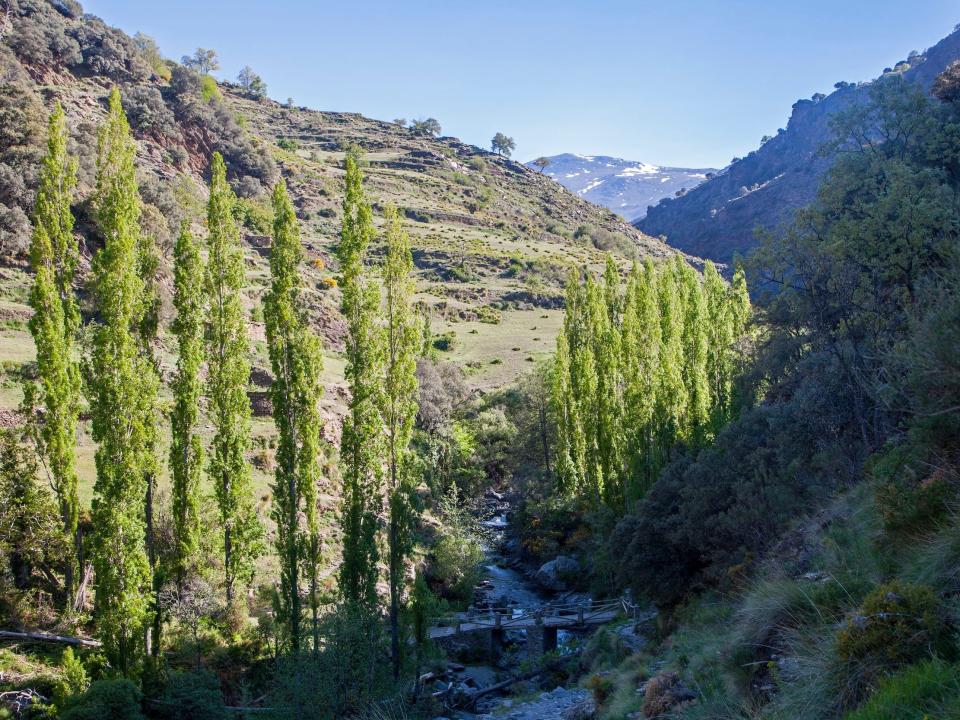 Landscape of the River Rio Poqueira gorge valley in Spain.