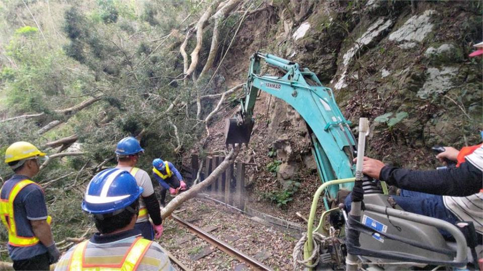 地震頻傳大樹傾倒橫躺軌道 阿里山森鐵緊急剎車