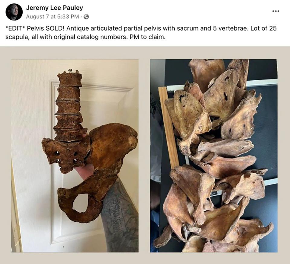 Body parts for sale on Jeremy Lee Pauley's Facebook page - Facebook