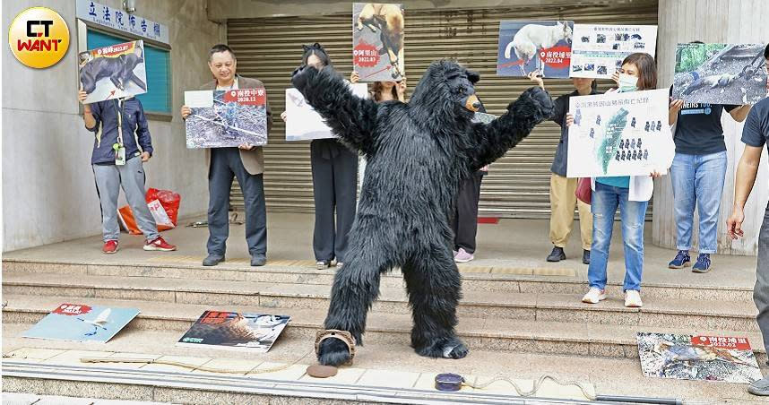 動保團體4月11日前往立法院以行動劇抗議山豬吊對野生動物所造成的危害。（圖／方萬民攝）