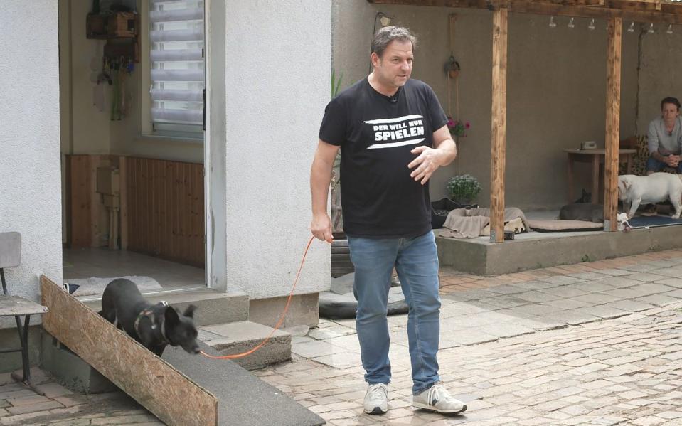 Hundeprofi Martin Rütter geht ein paar Schritte mit der schüchternen Chantal. (Bild: RTL)