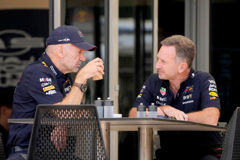 Newey has grown tired of the political tension at Red Bull, unearthed amid the Christian Horner saga (AP)