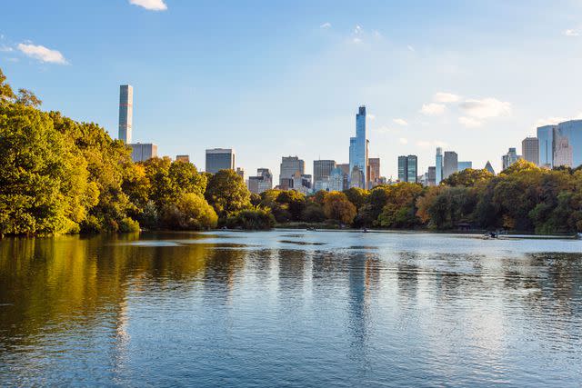 <p>Getty</p> Central Park, NYC