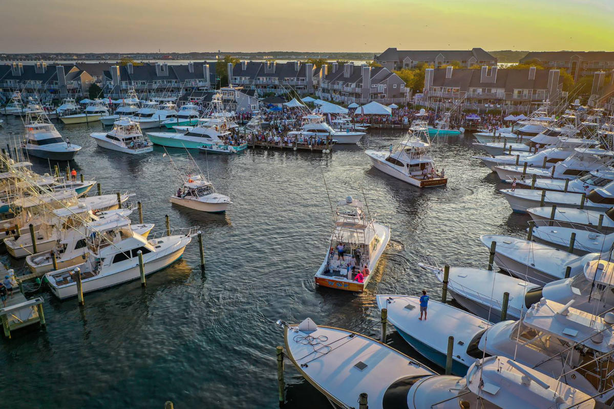 Ocean City boat lands 640-pound blue marlin, wins $6.2 million in White  Marlin Open - Yahoo Sports