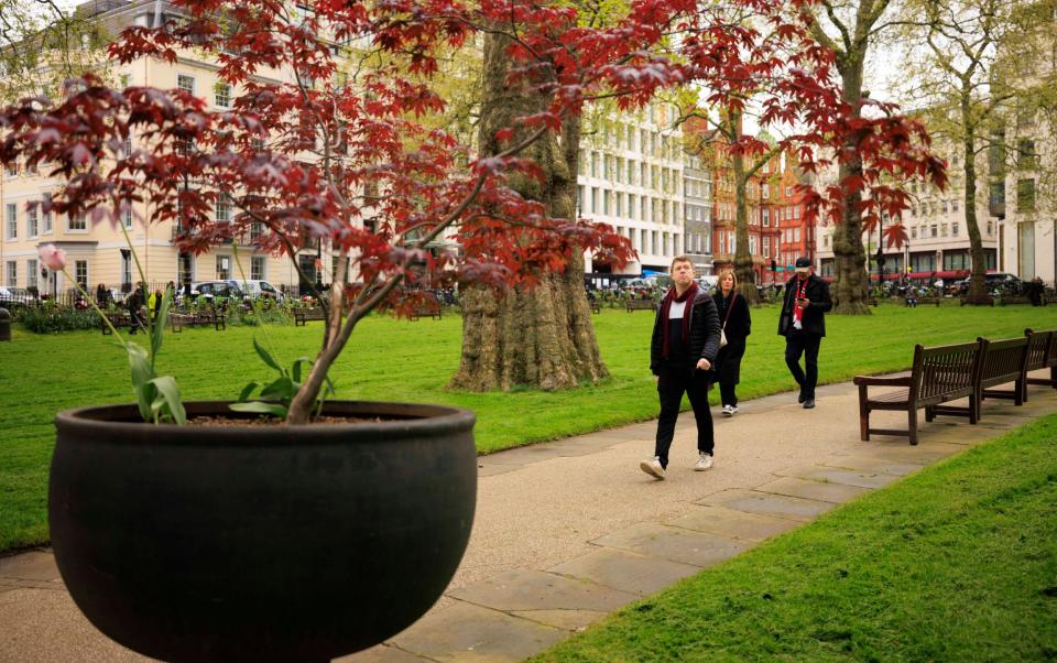Berkeley Square is another oasis of green on Jack's walk to work
