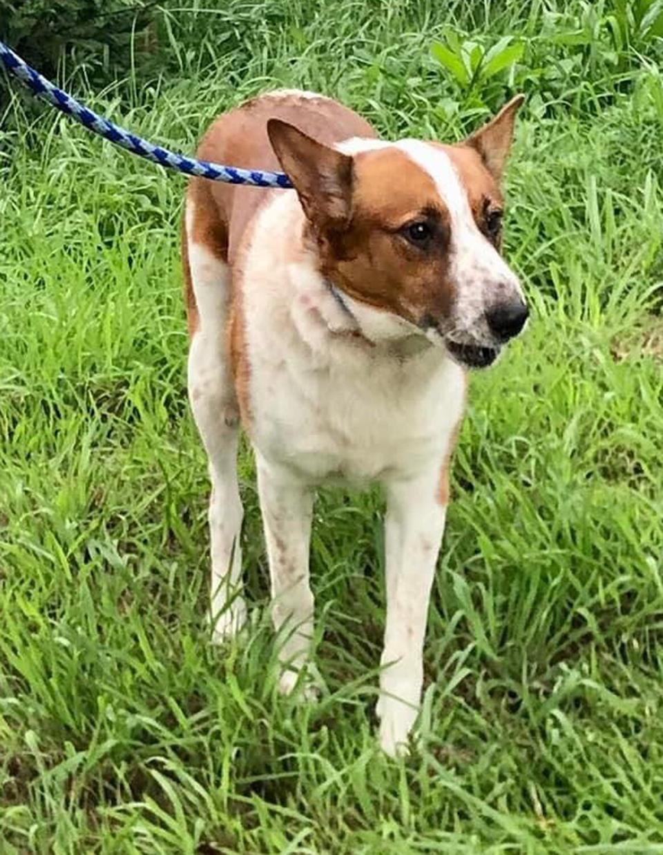 Soldier, AKA Dante during his time at the Fairfax County VA shelter before reuniting with family 2022