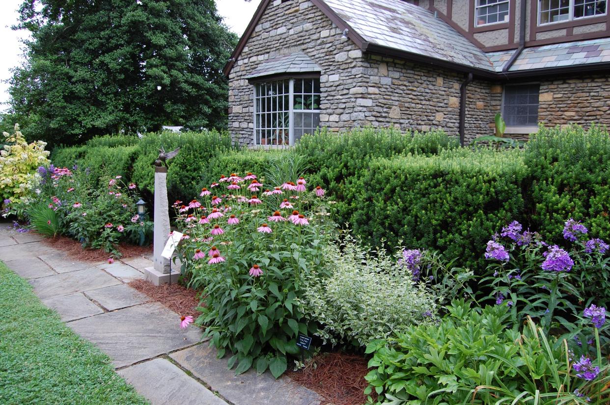 A sheared hedge at Yew Dell Botanical Gardens forms a backdrop for mixed perennials.