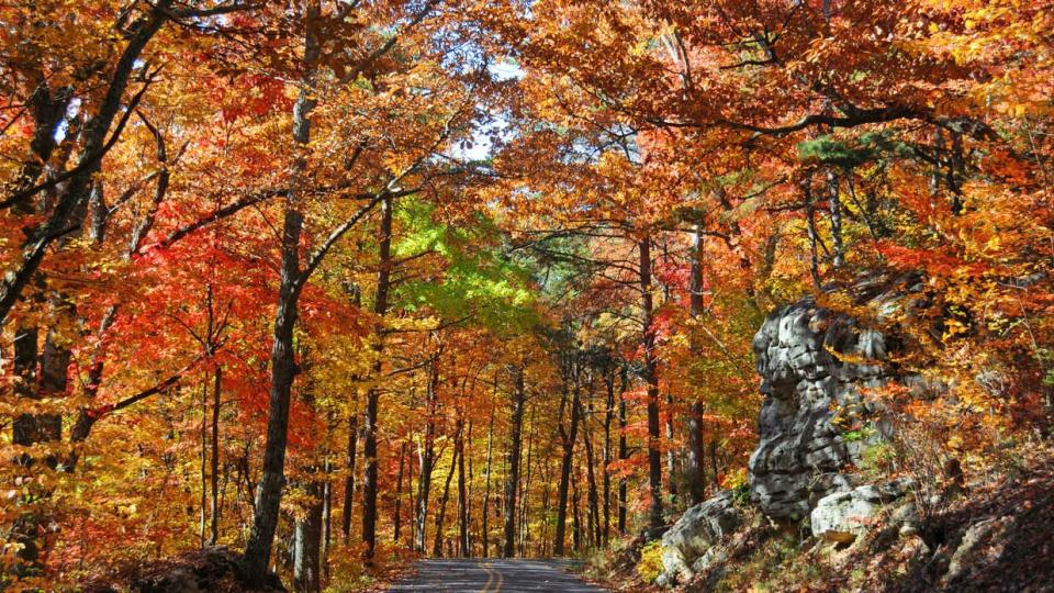 State-by-State Guide to the Best Fall Color