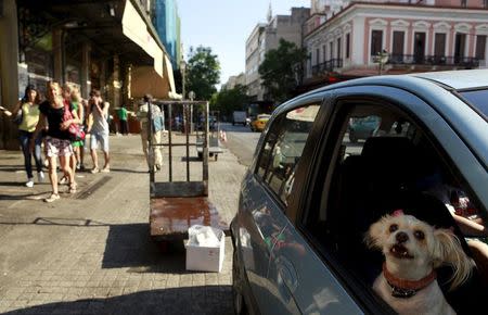 An dog barks at passing pedestrians in the Monastiraki area of central Athens, Greece, July 7, 2015. REUTERS/Cathal McNaughton