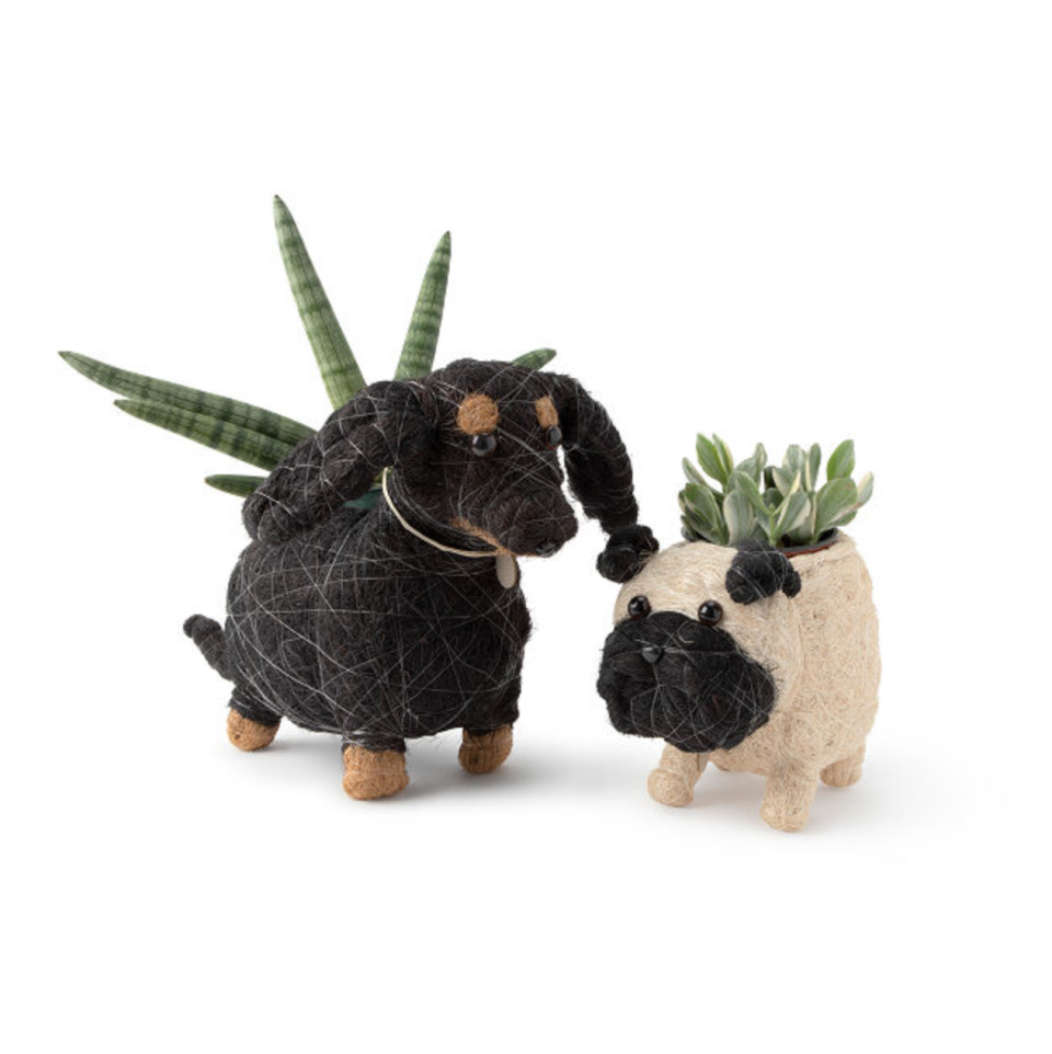 Coconut Fiber Dog Planter (Photo via Uncommon Goods)