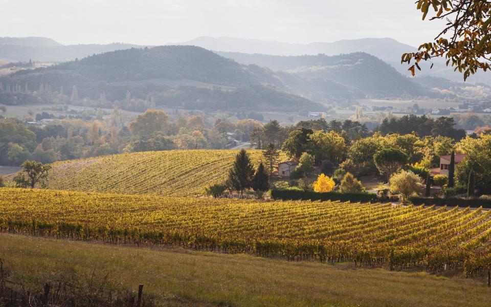 The Rhone Valley - Getty