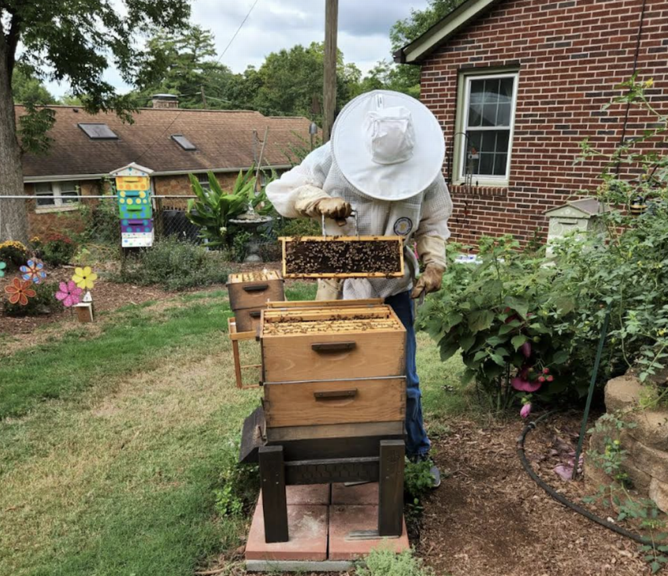 Joel Armistead is one of several beekeepers in the Overbrook neighborhood.