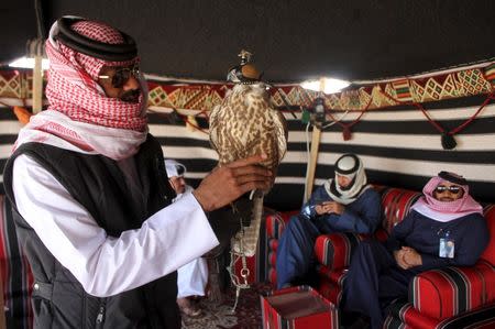 A Qatari man holds his falcon before he participates in a falcon contest during Qatar International Falcons and Hunting Festival at Sealine desert, Qatar January 29, 2016. REUTERS/Naseem Zeitoon