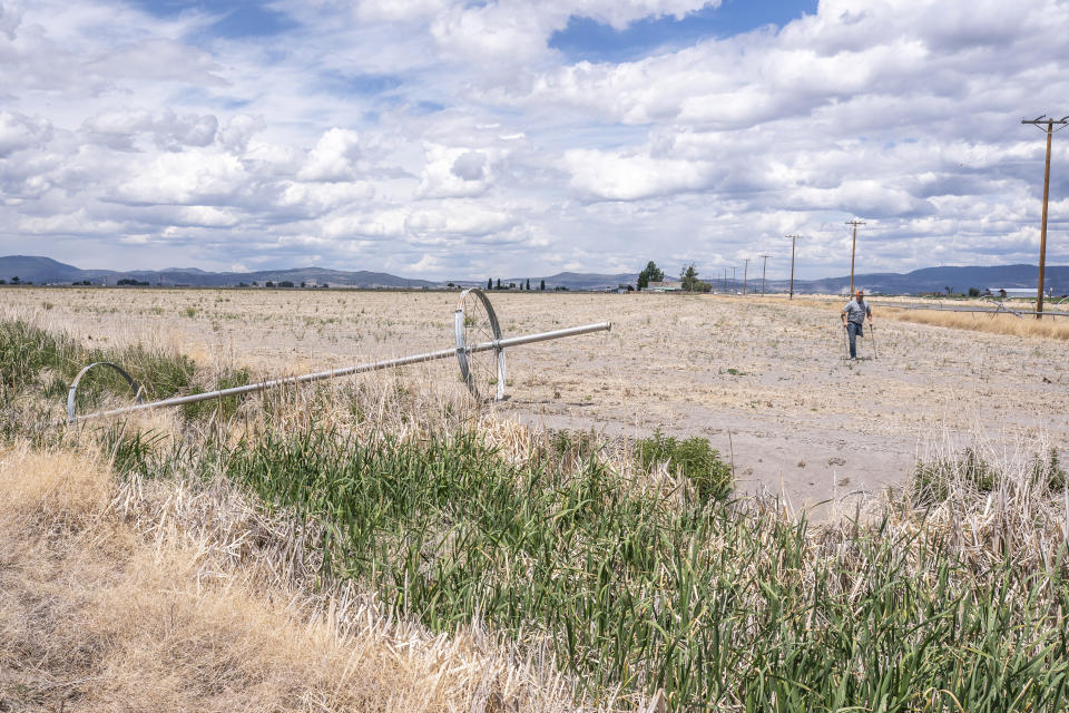 Ben DuVal walks past a dry irrigation pipe in a field he had rented for crops this year but was unable to plant due to the water shortage, on Wednesday, June 9, 2021, in Tulelake, Calif. DuVal's family has farmed the land near the California-Oregon border for three generations, and this summer for the first time ever, he and hundreds of others who rely on irrigation from a depleted, federally managed lake aren't getting any water from it at all. (AP Photo/Nathan Howard)