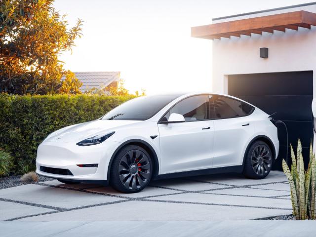 Model Y