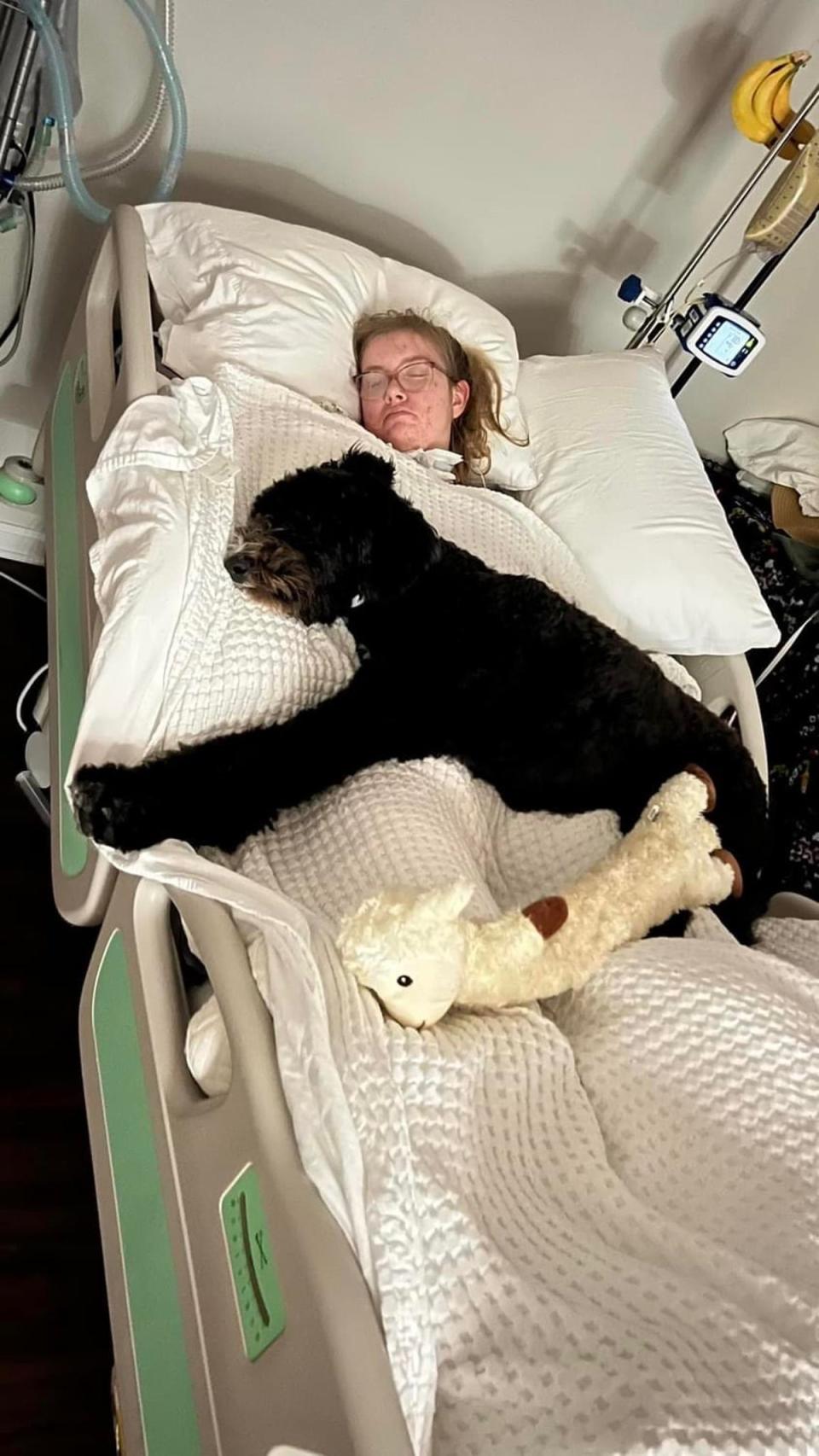 Caitlin is pictured this week sleeping at home with her service dog, Belle; since her injury, her mother sleeps in the same room (Facebook/Darlene Jensen)