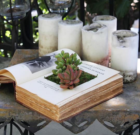 Book Planters