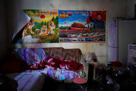 Posters hang on the wall of a room of ethnic Lisu villagers in Luzhang township of Nujiang Lisu Autonomous Prefecture in Yunnan province, China, March 24, 2018. REUTERS/Aly Song