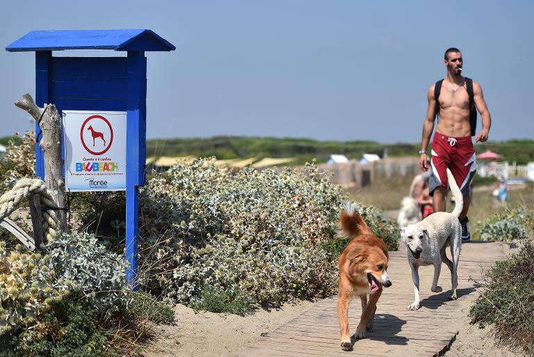 A man arrives with his dogs at Baubeach in Maccarese, near Rome, on August 12, 2014