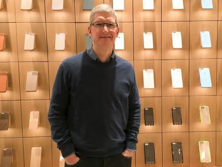 Apple Chief Executive Officer Tim Cook poses for a portrait during a event for students to learn to write computer code at the Apple store in the Manhattan borough of New York in this December 9, 2015, file photo. REUTERS/Carlo Allegri/FILES GLOBAL