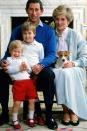 <p>Prince Charles, Princess Diana, Prince William, and Prince Harry smile for a family photo in Kensington Palace. </p>