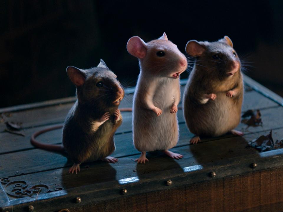three mice in Cinderella