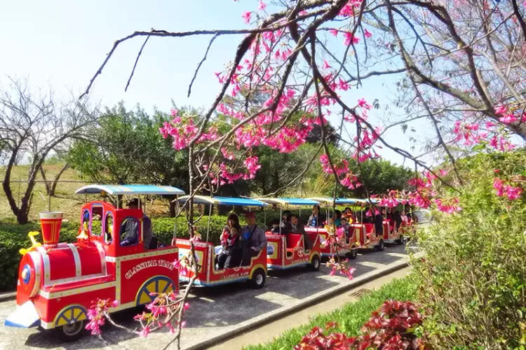 小叮噹科學主題遊樂園遊園導覽小火車。翻攝官網