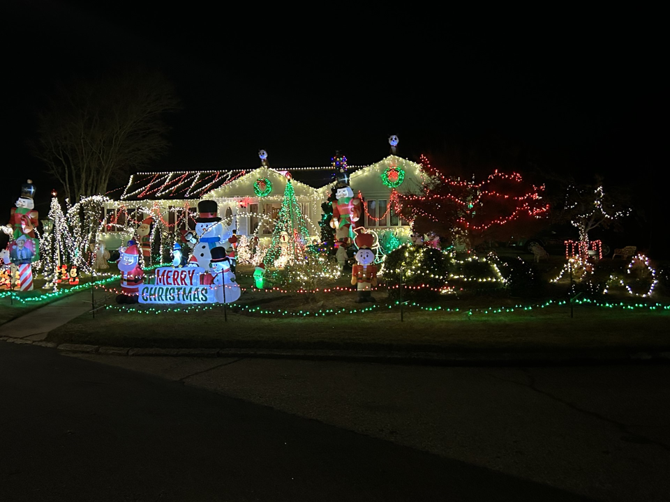 The Ricci Family Display in Cranston would be anyone in a good mood.