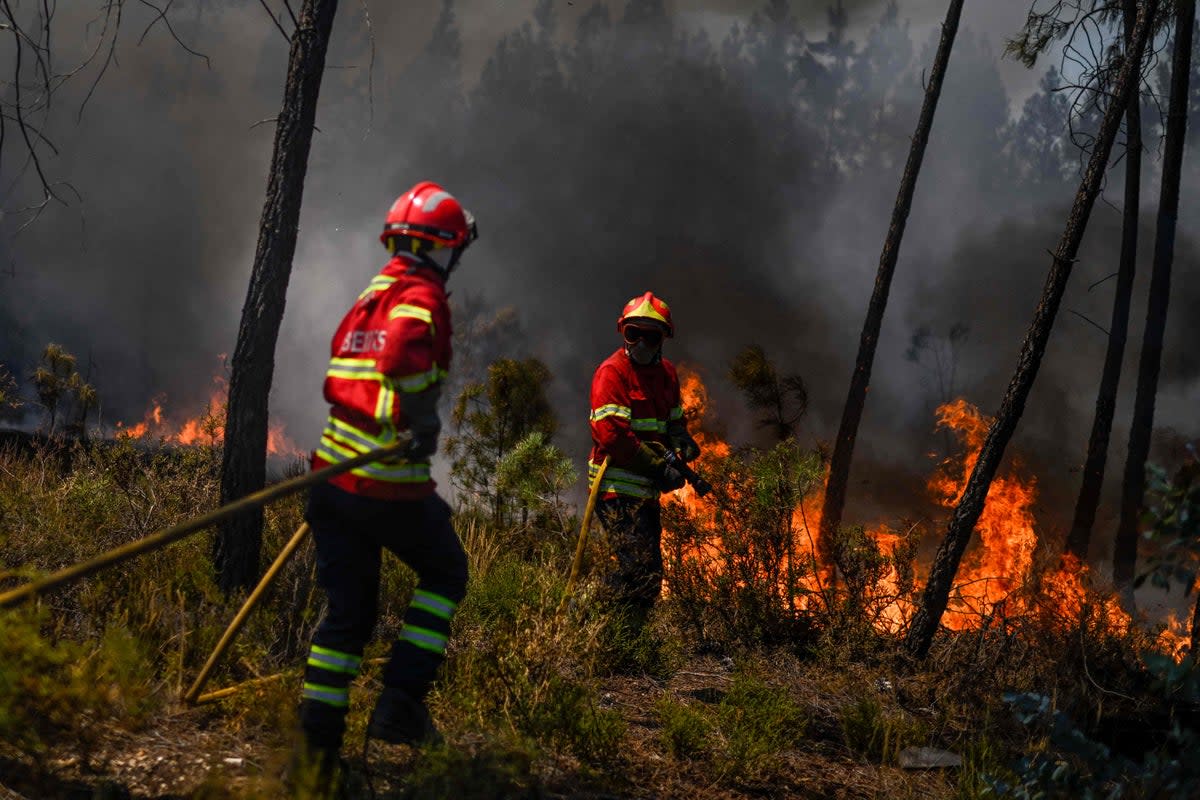 More than 1,000 firefighters battled a wildfire in central Portugal on Sunday (AFP via Getty Images)