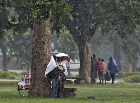 Commuters take shelter under trees during a heavy rain shower in New Delhi, India, June 22, 2015. REUTERS/Adnan Abidi