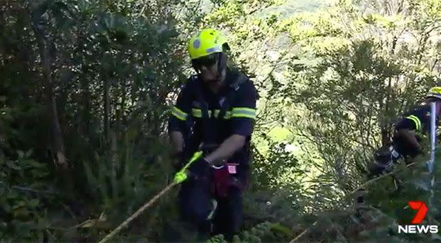 Volunteers abseil down the cliff at Currumbin. Source: 7 News
