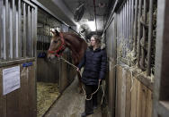 In this Jan. 28, 2014 photo, carriage driver Christina Hansen returns Star to a stall in New York's Clinton Stables. Time may be running out for the iconic horse carriages that carry tourists around New York City’s Central Park. New York City Mayor Bill de Blasio has already declared his intention to shut down the industry, saying it is inhumane to keep horses in modern-day Manhattan. (AP Photo/Richard Drew)