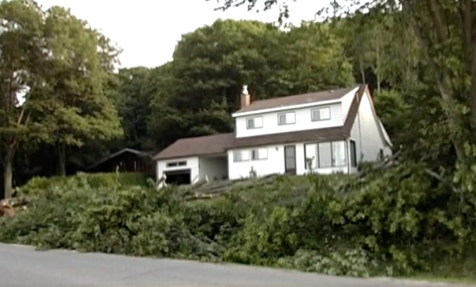 Fallen trees in North Bay, Ontario - Courtesy TWN