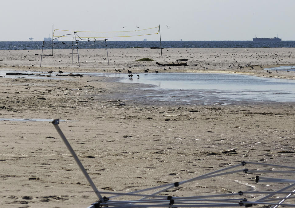 This July 10, 2018, photo provided by Birmingham Audubon shows beach volleyball equipment left on Sand Island, Ala. Wildlife officials say beach volleyball players on the small island off Alabama probably killed hundreds of unhatched birds, moving eggs to make room for their playing court and scaring adult birds from nests. (Andrew Haffendon/Birmingham Audubon via AP)