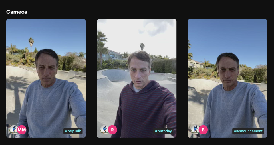 Screen grab from Tony Hawk's Cameo page