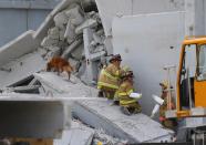 MIAMI, FL - OCTOBER 10: Miami-Dade Rescue workers prepare to pull a body out of the rubble of a four-story parking garage that was under construction and collapsed at the Miami Dade College’s West Campus on October 10, 2012 in Doral, Florida. Early reports indicate that one person was killed, at least seven people injured and an unknown number of people may be buried in the rubble. (Photo by Joe Raedle/Getty Images)