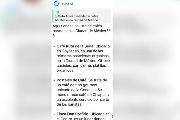 Consulta a Meta IA desde un chat personal. Captura: WhatsApp