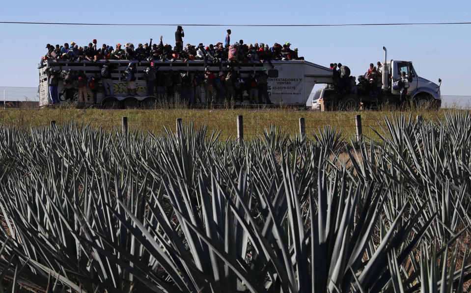 Central American migrants moving as a caravan to the U.S. border get a free ride on a truck past maguey farms as they depart Guadalajara, Mexico, Tuesday, Nov. 13, 2018. Many say they are fleeing rampant poverty, gang violence and political instability primarily in the Central American countries of Honduras, Guatemala, El Salvador and Nicaragua. (AP Photo/Marco Ugarte)