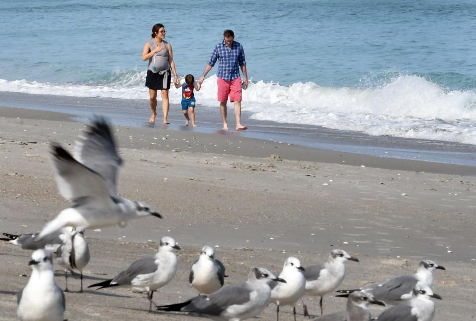 Tourists walking along  the beach across from 5th Avenue Boardwalk in Indialantic. Mini Kang and Christopher Roach, with children baby Jojo (in a baby carrier on Mini's chest} , and daughter Ellie. They are visiting from California to see Brevard relatives for the holidays.