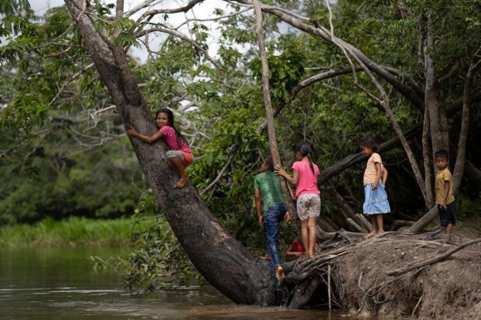 Niña montada en un árbol con otros niños